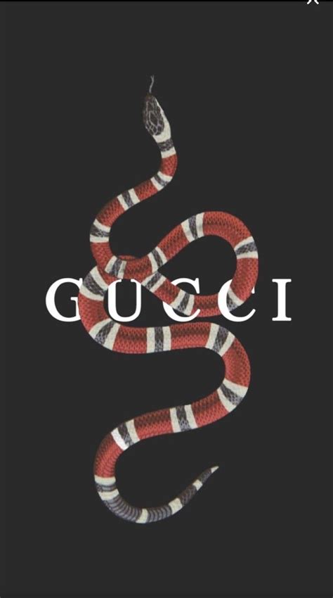 gucci 2018 wallpaper|Gucci aesthetic wallpaper laptop.